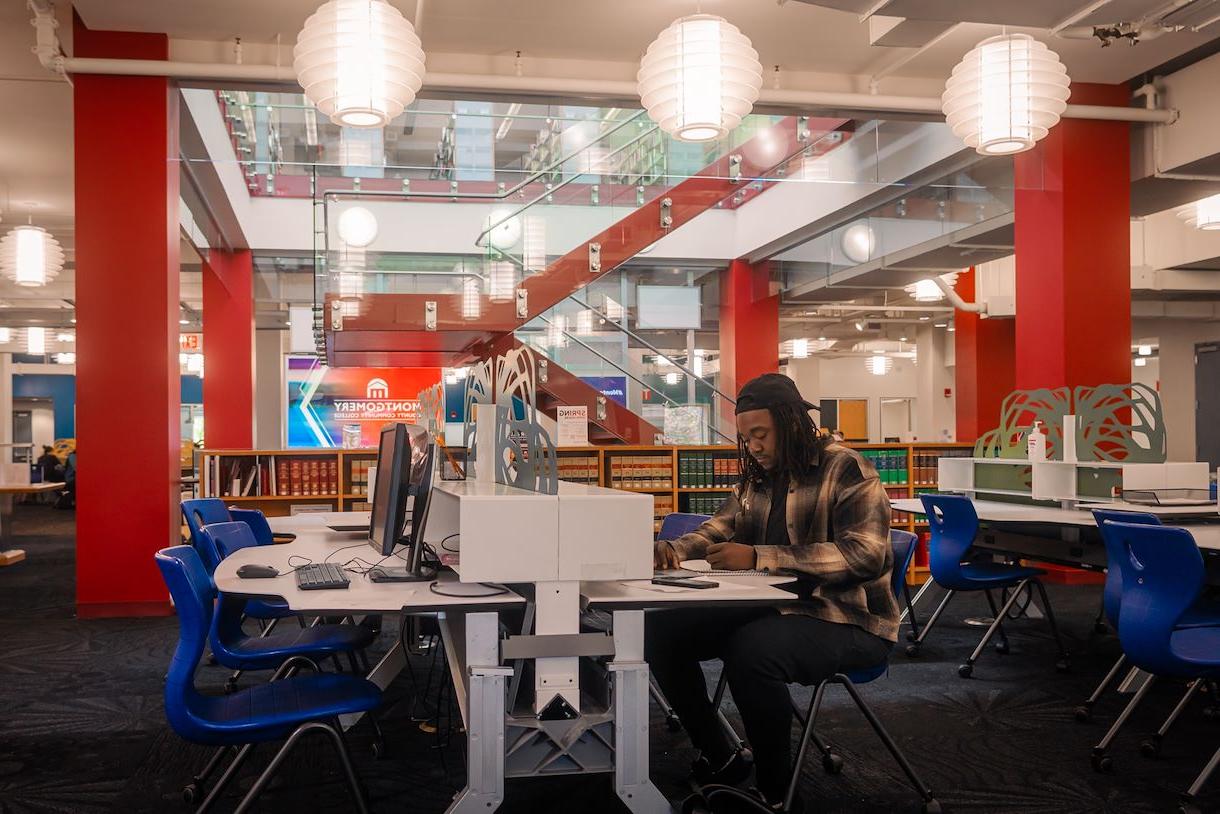图为学生在蓝钟校区的学院大厅图书馆内学习